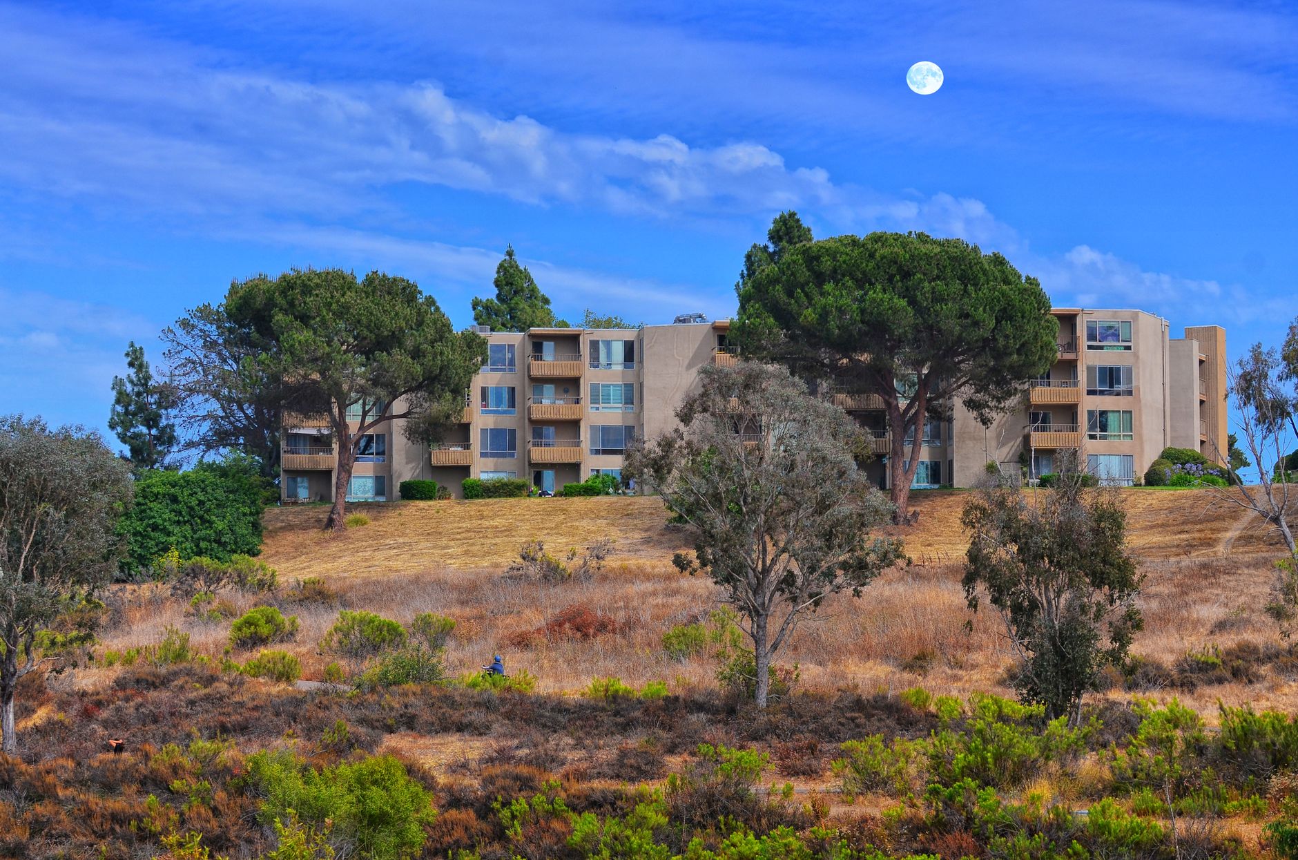 San Diego Apartments for Remote Workers: How to Find the Right Setup